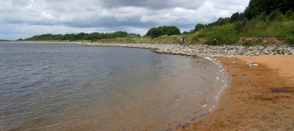 Waters edge at Foremark Reservoir