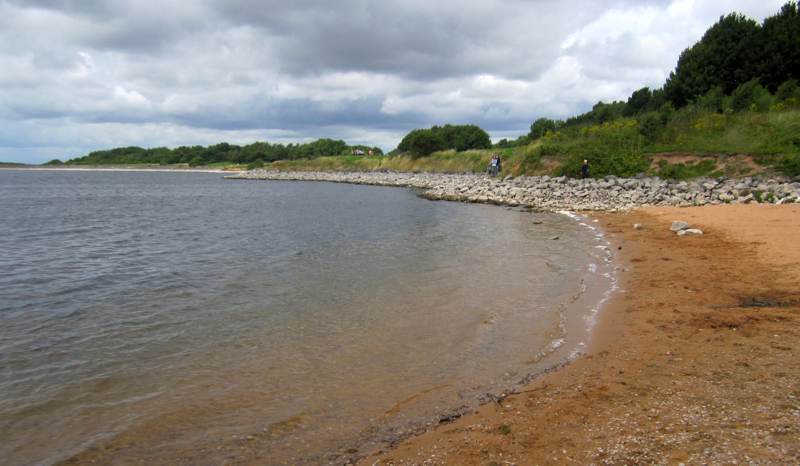 A view along the waters edge.