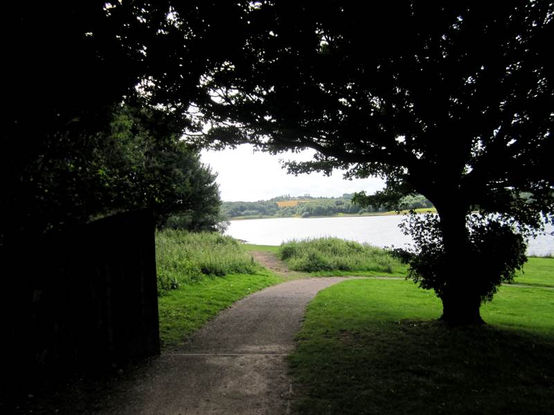 A path with a view.