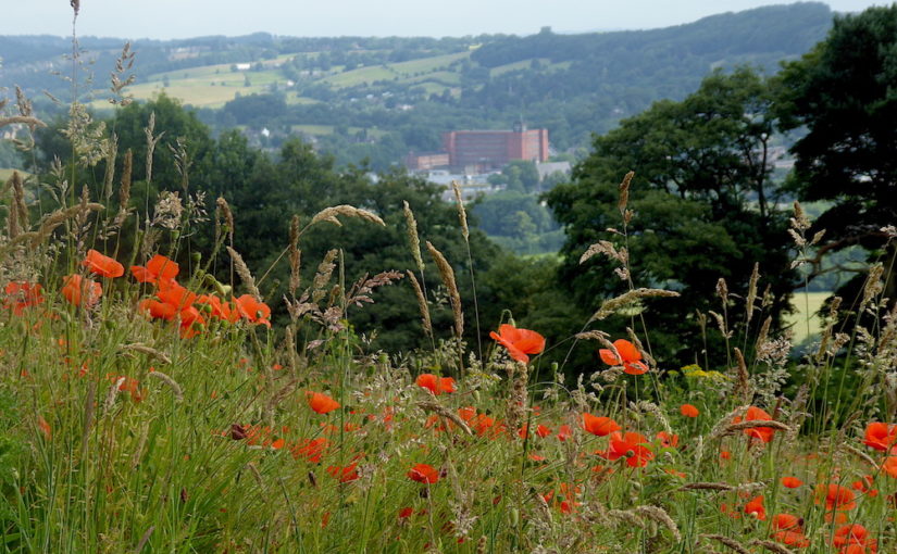 Belper in Bloom