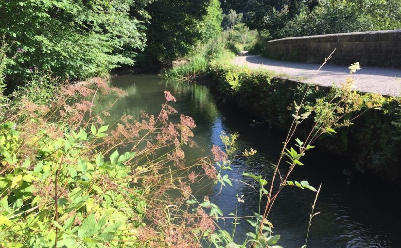 A Walk Along the Cromford Canal