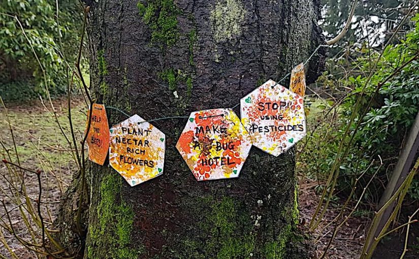 Trees of St Peter’s Belper